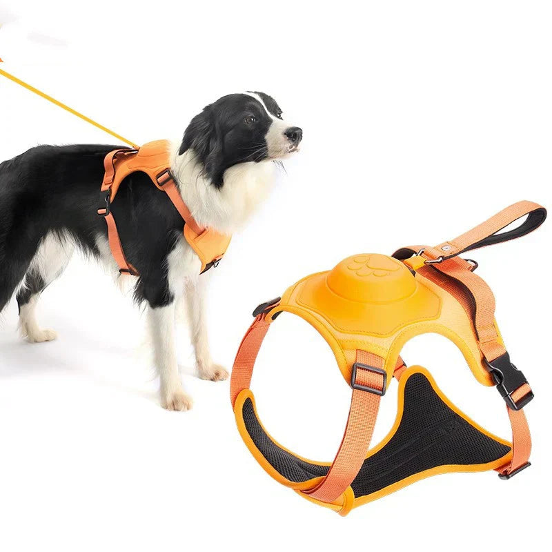 Pettorina Anti-Fuga per Cani Sicuri