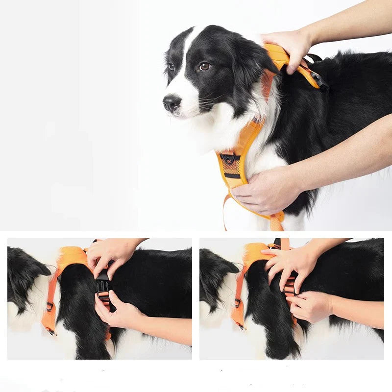 Pettorina Anti-Fuga per Cani Sicuri